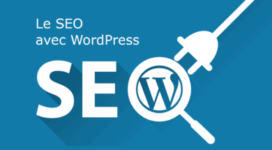 wp-seo